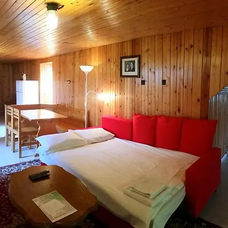 Apartment Lelia Brasov